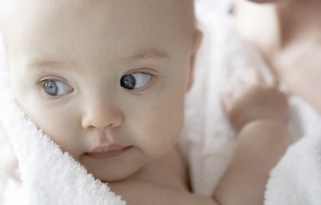 Atopichesky la dermatitis de la garrapata de polvo